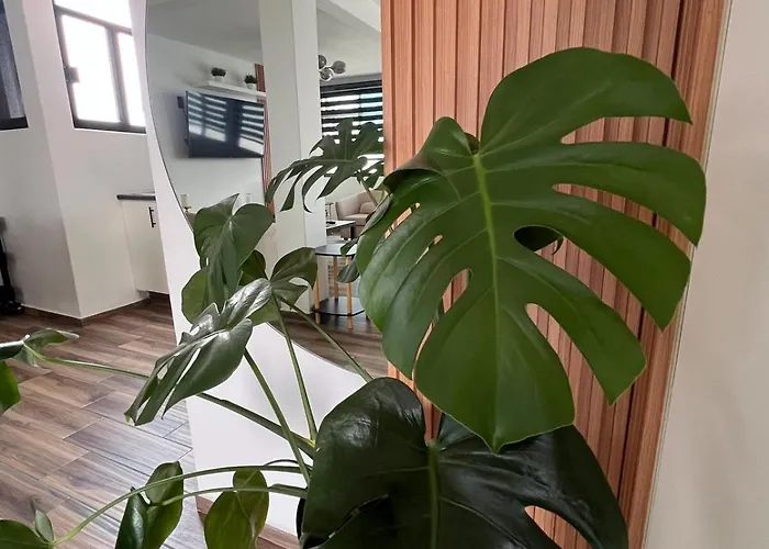 Apartment Terraza Colibri