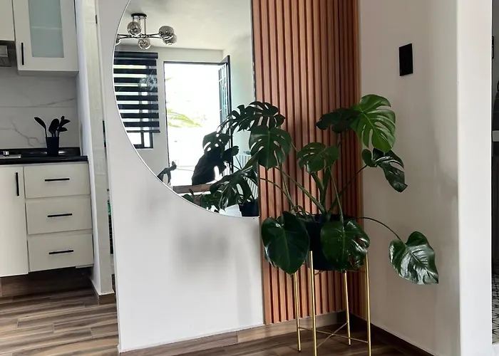 Terraza Colibri Apartment Mexico City